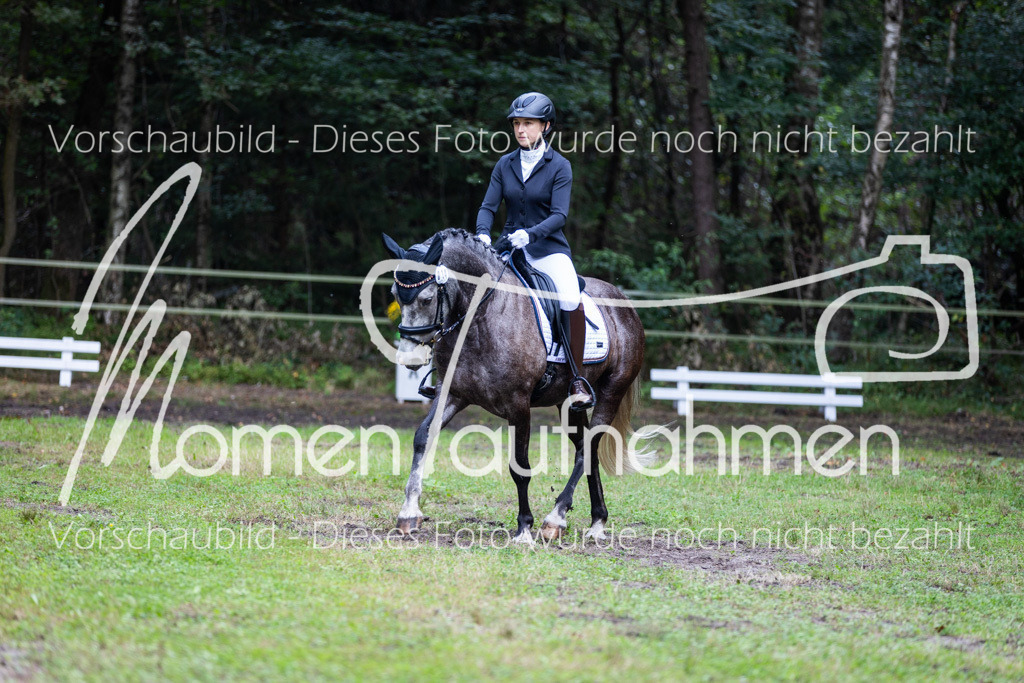 HB-A-Dressur-069 | MomenTaufnahmen Pferdesportfotos