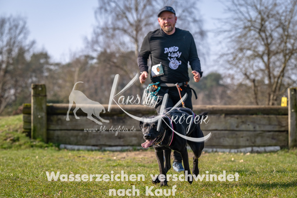 _ZZ90779 | kk-dogfotos