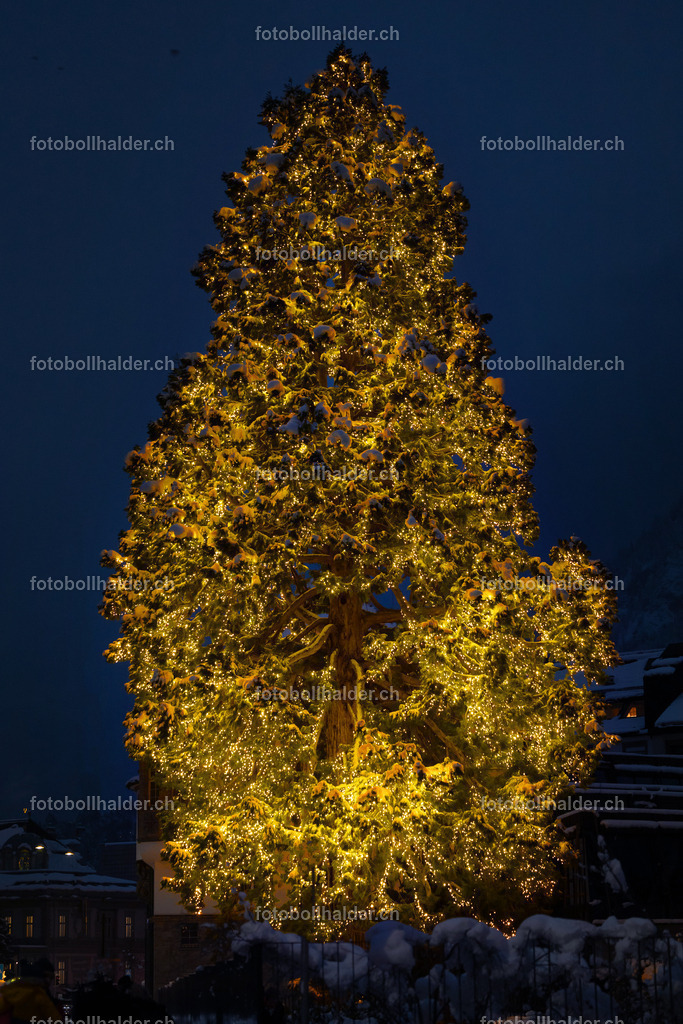 IMG_9280 | Foto Bollhalder 