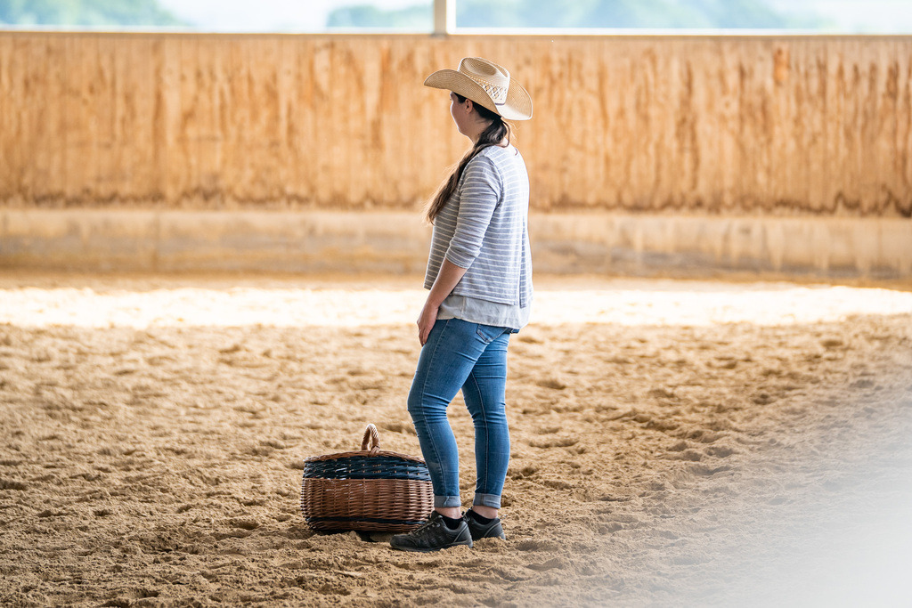 DSC08694 | Pferdegrafie