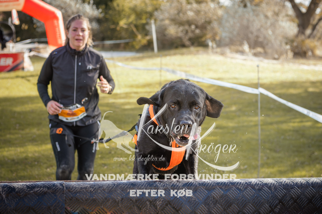 1317_ZZ99926-2 | kk-dogfotos