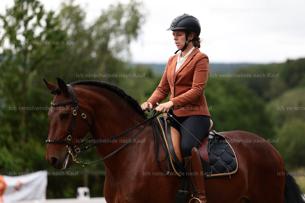 KlasseL_Stoibphotography_CAM21372.JPG | working equitationturnier fotograf videograf stoibphotography marixx film working equitation deutschland reitsport turnierfotografie eventfotografie equestrian events