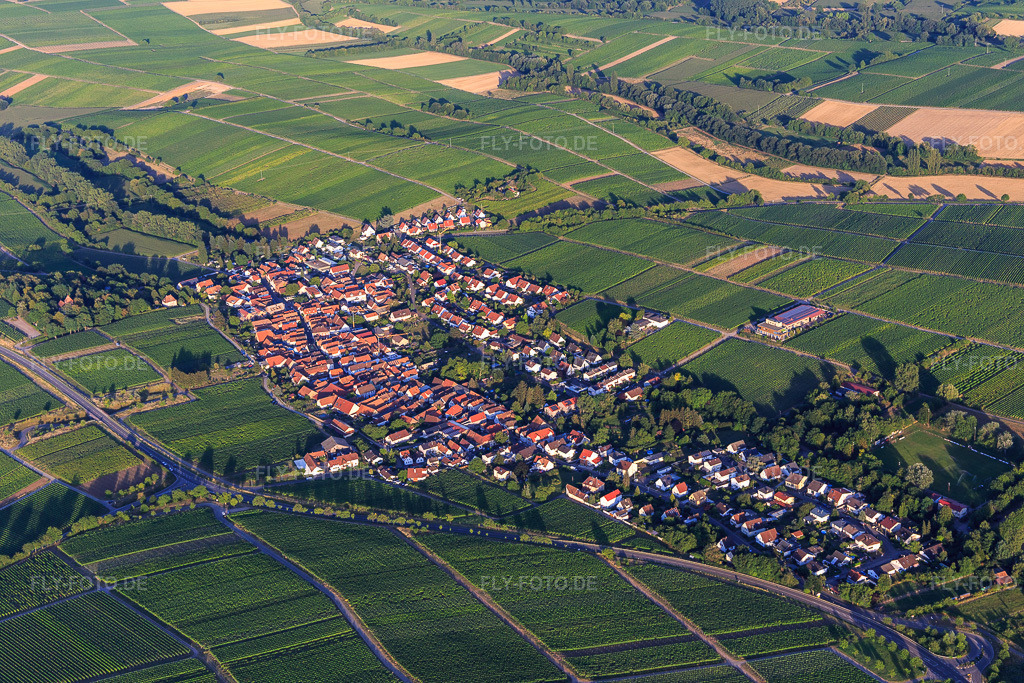 Luftbild: Ortsansicht von Nordwesten im Ortsteil Wollmesheim in Landau im Bundesland Rheinland-Pfalz in Deutschland. Foto: IMG_133681.jpg vom 18.07.2022 durch Werner Riehm/FLY-FOTO.de