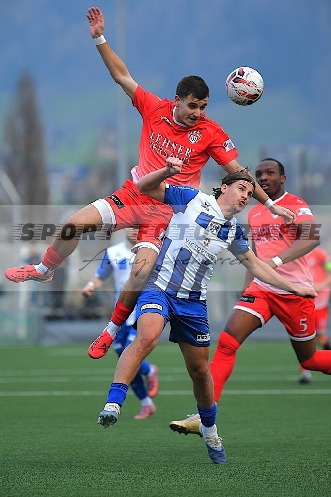 aaaaaDSC_0490b | Kaufen Sie Sportbilder im Onlineshop von Andy Scherrer Sportfotografie. Faszinierende Bilder von Sportevents aus der ganzen Schweiz. Fussball, Frauenfussball, Unihockey, Handball, Schwingen und weiteren Sportarten. - Realisiert mit Pictrs.com