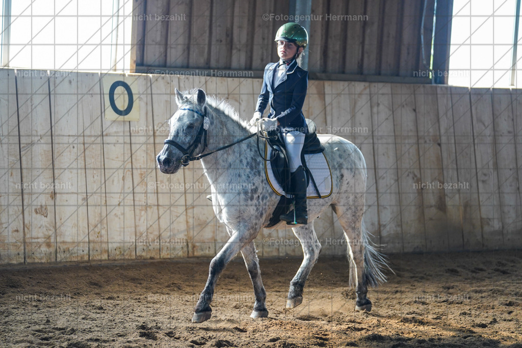 20230916-FAH08628 | Landsberg am Lech 2023, Turnierbildern, Turnierbilder Bayern, Reitsportfotograf, Pferdefotograf Bayern, Turnierfotos Landsberg, Fotoagentur Herrmann, Turnierfotografen Bayern