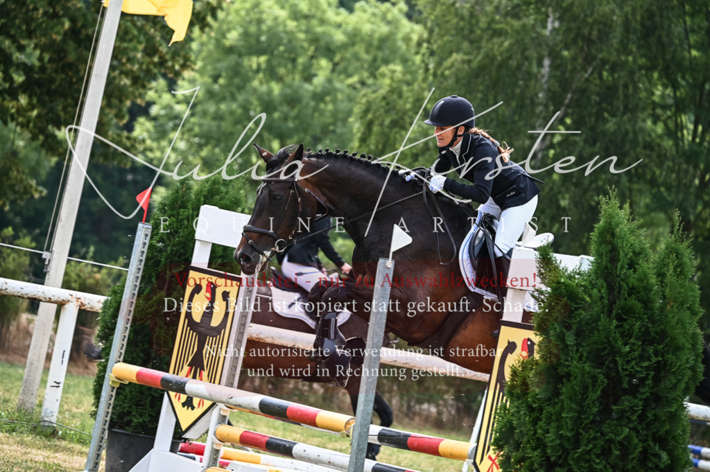 DSC_8318 | Pferde- und Turnierfotografie in Westsachsen. Pferdeportraits, Auftragszeichnungen und intuitive Kunst.