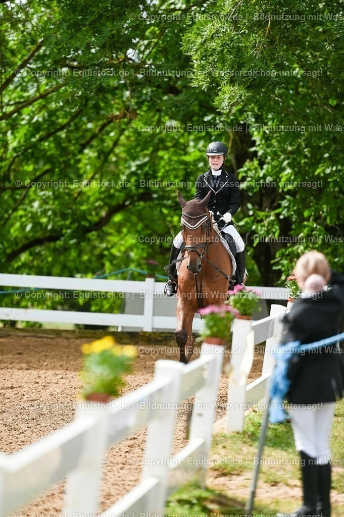 20230716_10-1_Reiter-WB Schritt - Trab - Galopp_0101 | equistock