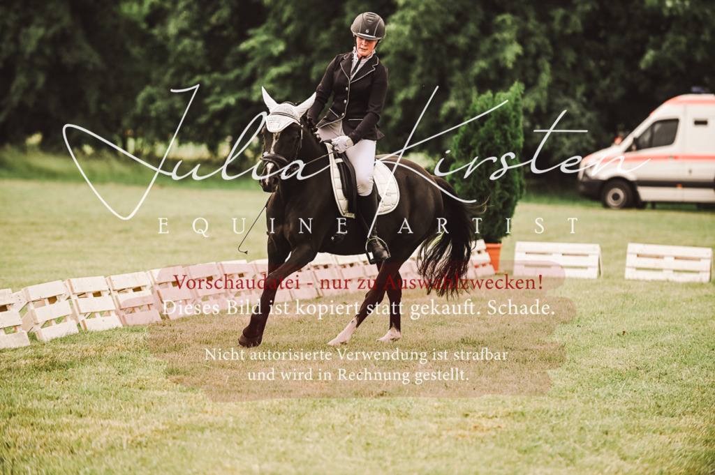 DSC_4834 | Pferde- und Turnierfotografie in Westsachsen. Pferdeportraits, Auftragszeichnungen und intuitive Kunst.
