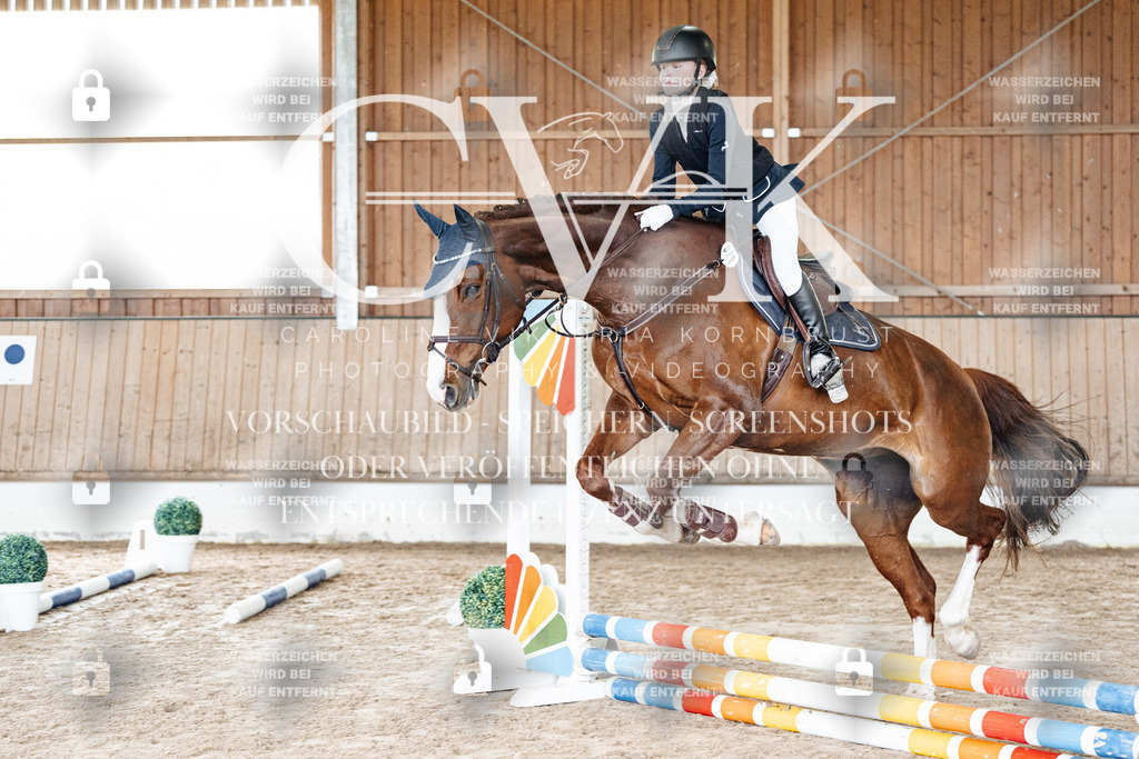 CK902605 | Turnierfotografie Pferdefotografie Trier Rheinland-Pfalz Pferdesport Reitsport Tierfotografie Sportfotografie Pferdevideo Pferdevideografie Equestrianvideography equestrianphotography  - Realisiert mit Pictrs.com