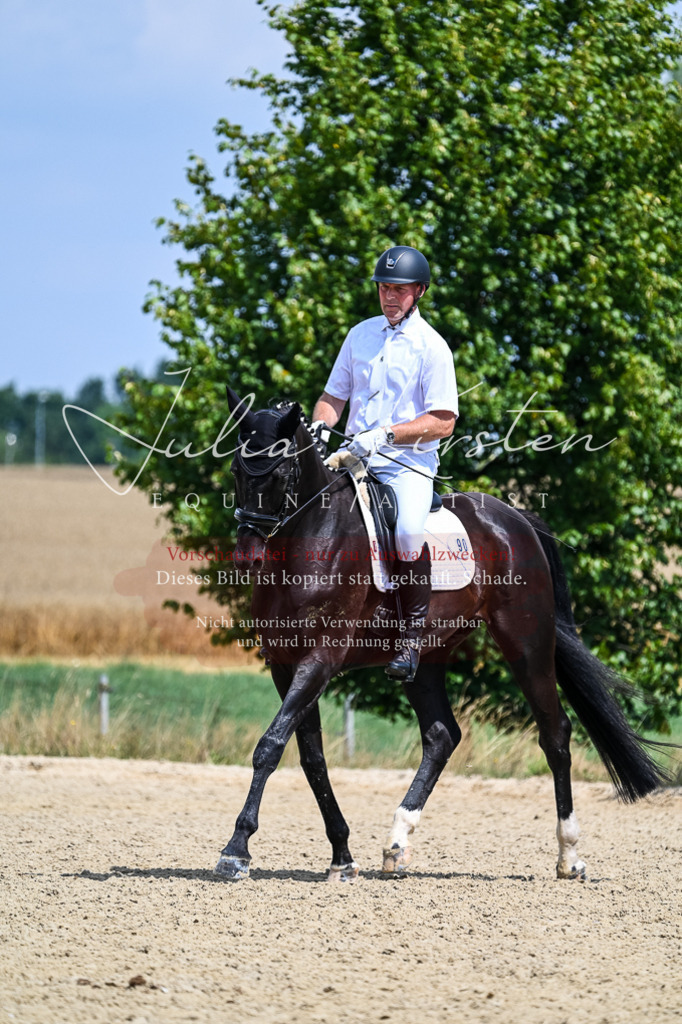 DSC_2715 | Pferde- und Turnierfotografie in Westsachsen. Pferdeportraits, Auftragszeichnungen und intuitive Kunst.