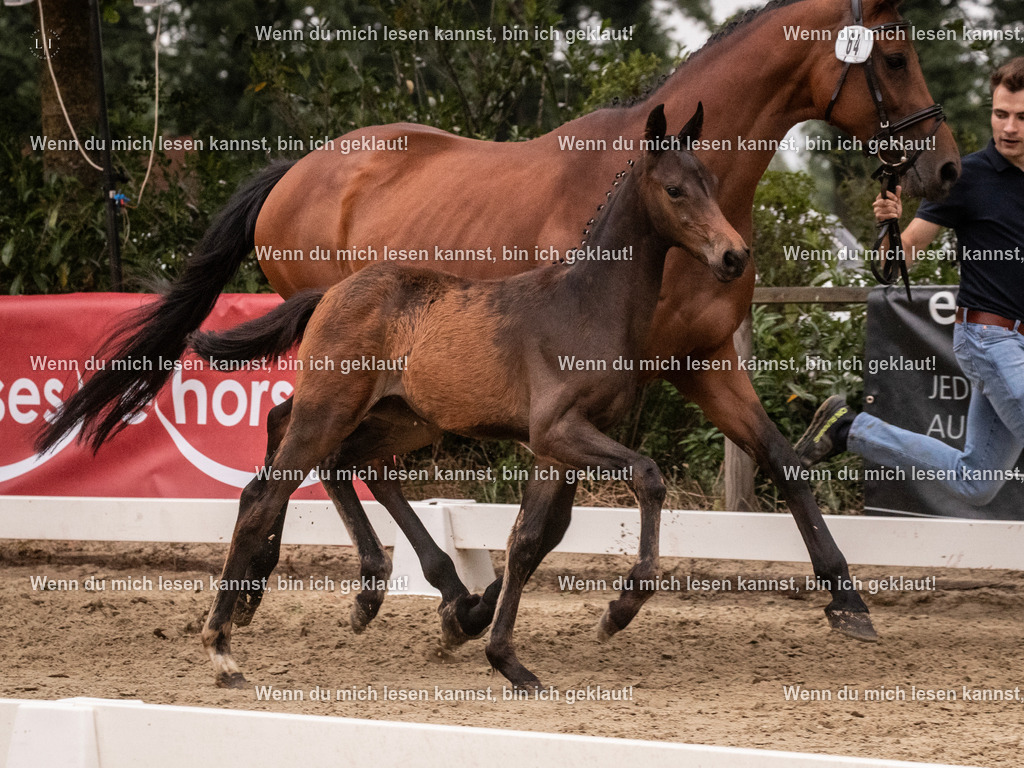 A10I6571 | photographylinaismer - Realisiert mit Pictrs.com