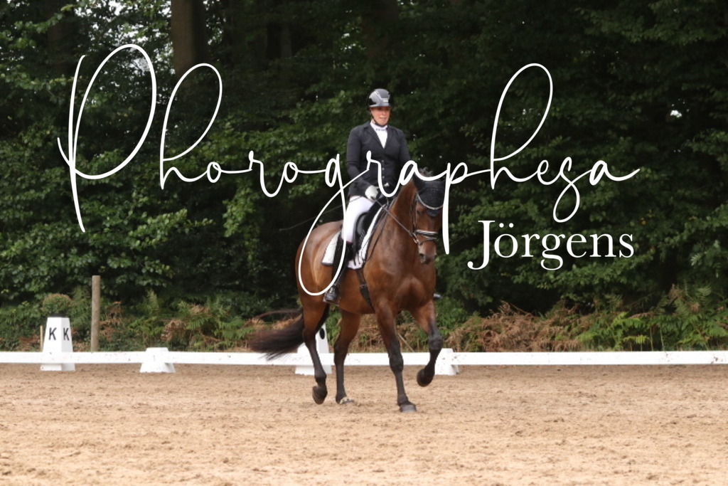 IMG_9854 | photographesa-joergens - Realisiert mit Pictrs.com