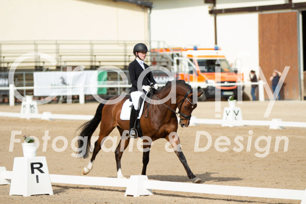 IMG_0857 | Creatify Fotografie