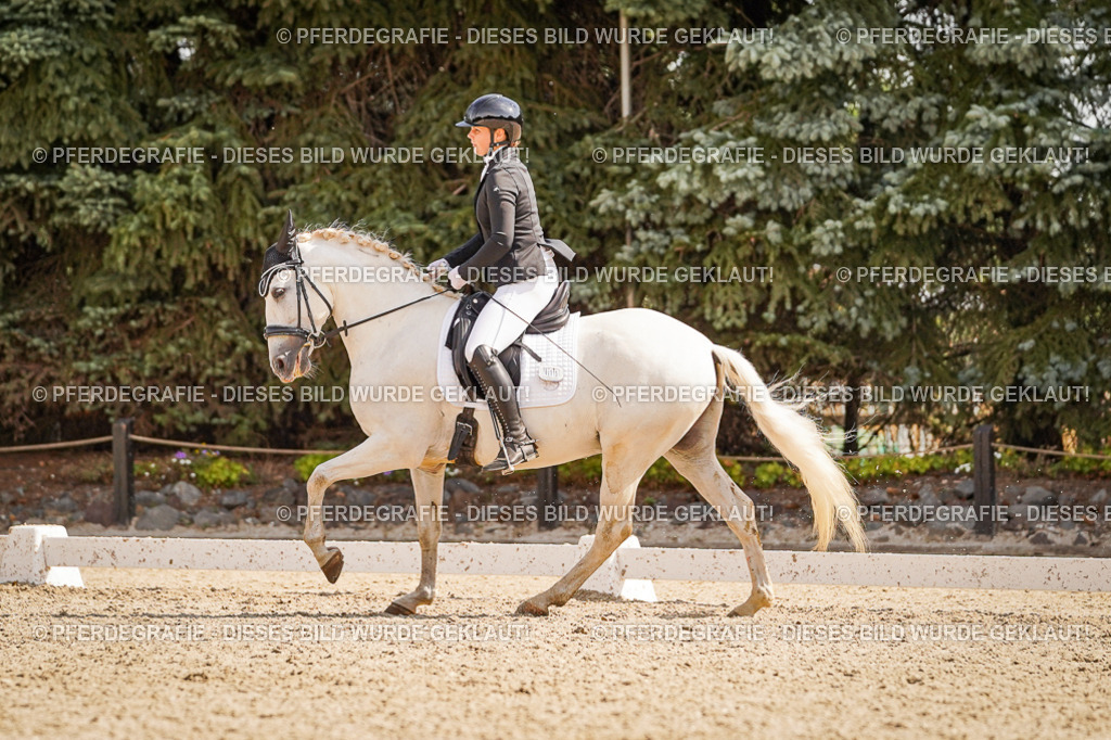 DSC01048 | Pferdegrafie