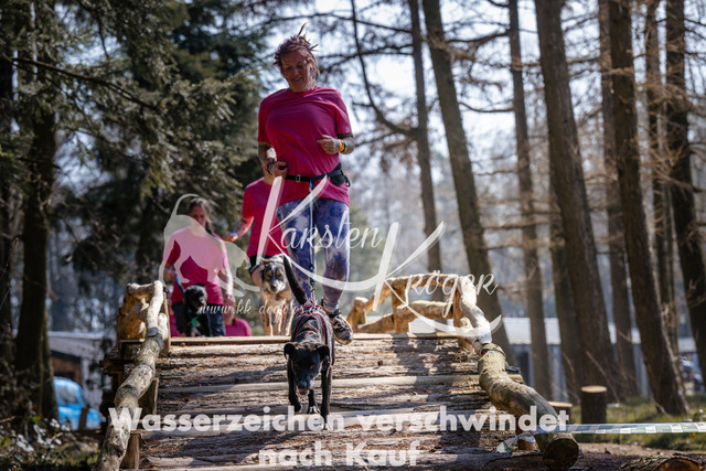 1345_ZZ96320 | kk-dogfotos