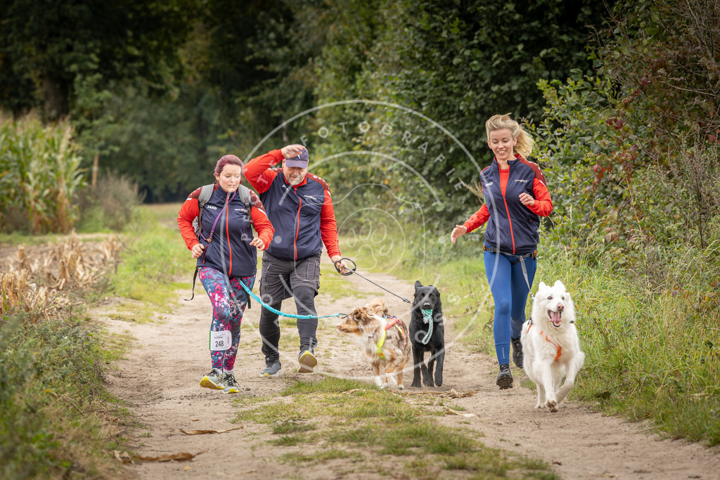 Pfotenfotografie_DV3A7985 | Hundefotografie, Tierfotograf, Pfotenfotografie, Fotoshooting Hund, Hunde Portrait, Hundesport, Hundeportraits, Heideshooting, Hunde, Sportfotograf, Hundefotograf, Turnierhundsport, THS,  - Realisiert mit Pictrs.com