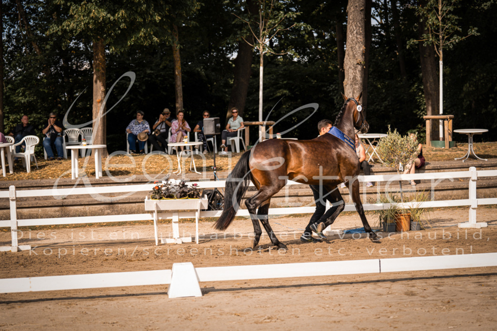 FrER00222 | Leoni Ertmer Photography - Realisiert mit Pictrs.com