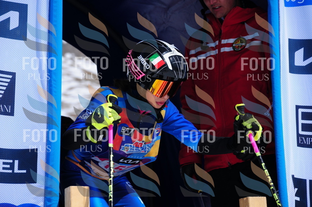 DSC_5340 | holidayphoto