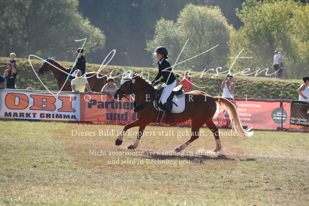 DSC_5831 | Pferde- und Turnierfotografie in Westsachsen. Pferdeportraits, Auftragszeichnungen und intuitive Kunst.