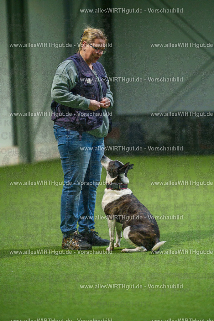 7R509848 | Professionelle Tierfotografie in Mönchengladbach von Daniel Wirth (allesWIRTHgut). Liebevolle & natürliche Bilder von Hunden & Katzen für unvergessliche Erinnerungen.
