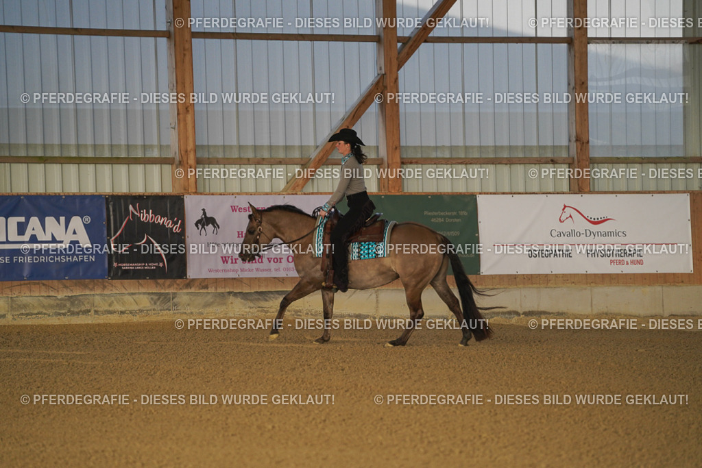 DSC07663 | Pferdegrafie