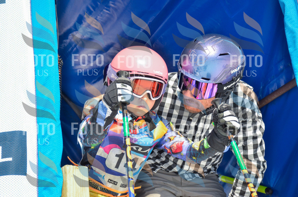 _ELE6281 | holidayphoto