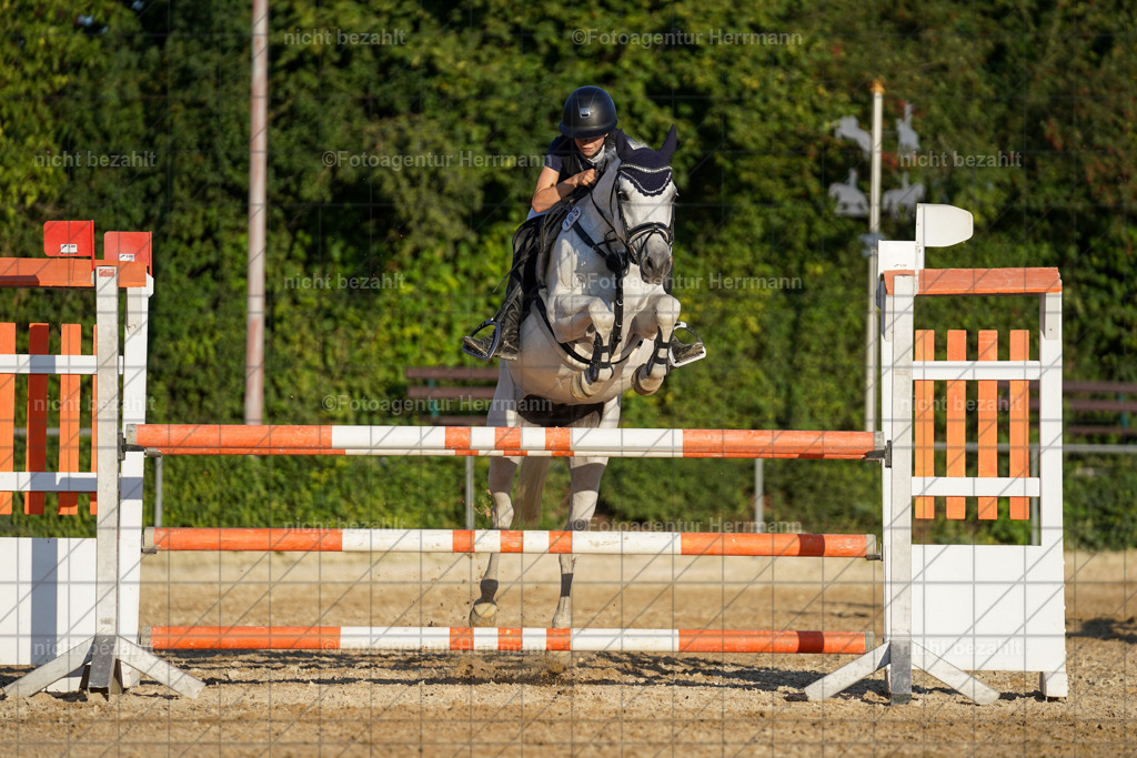 20240824-FAH08838 | Thierhaupten 2024, Bayerisches Landesponyturnier, Turnierbilder, Ponybilder, Turnierfotografen Bayern, Fotoagentur Herrmann