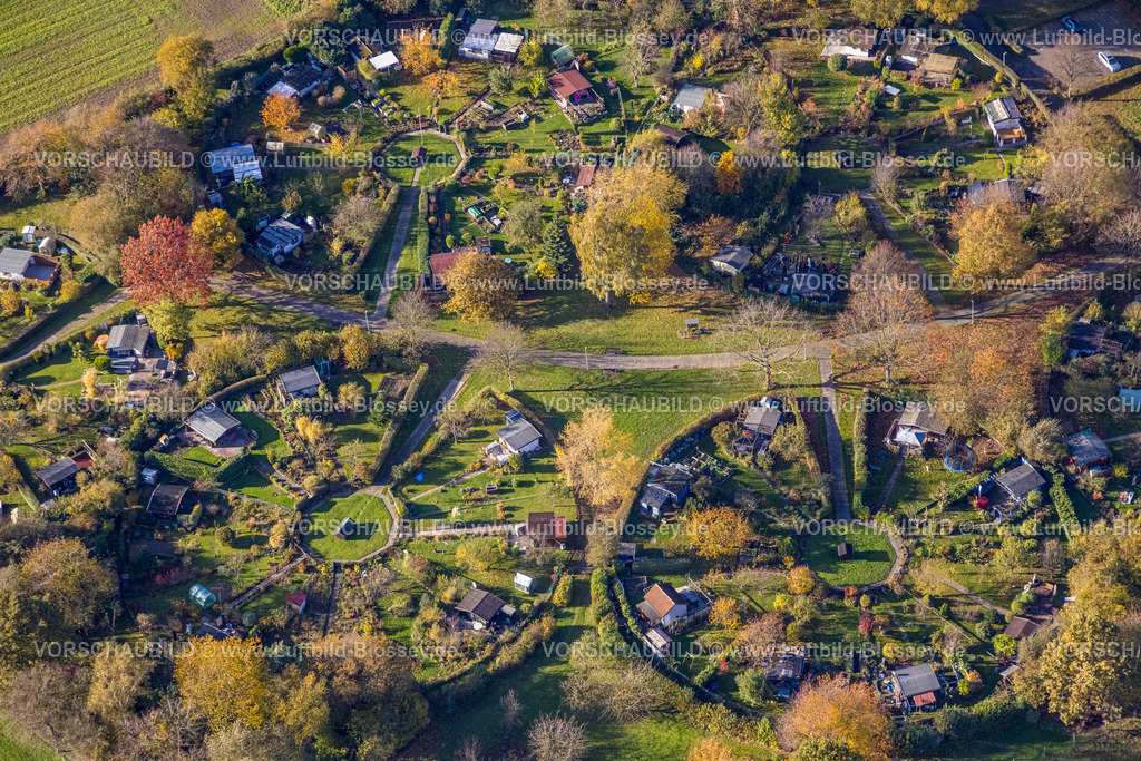 Witten231101273 | Luftbild, Kleingartenverein Am Heuweg e.V., Lauben und Häuser in kreisrunder Form geordnet, Gartenanlage mit Laubbäumen in Herbstfarben, Stockum, Witten, Ruhrgebiet, Nordrhein-Westfalen, Deutschland