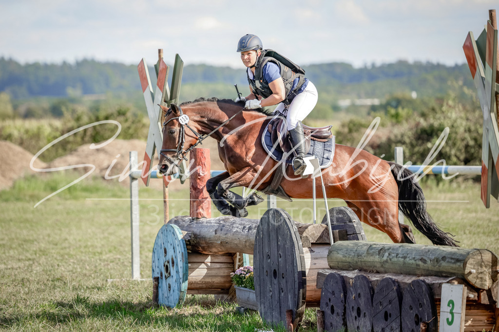 20250906-_3LI7140 | Tierfotografie Pferde, Hunde, Katzen, Haustiere.
Turnierfotografie Reitturniere, Reiten, Springreiten, Dressur in Hanau, dem Main-Kinzig-Kreis und dem Rhein-Main- Gebiet um Frankfurt