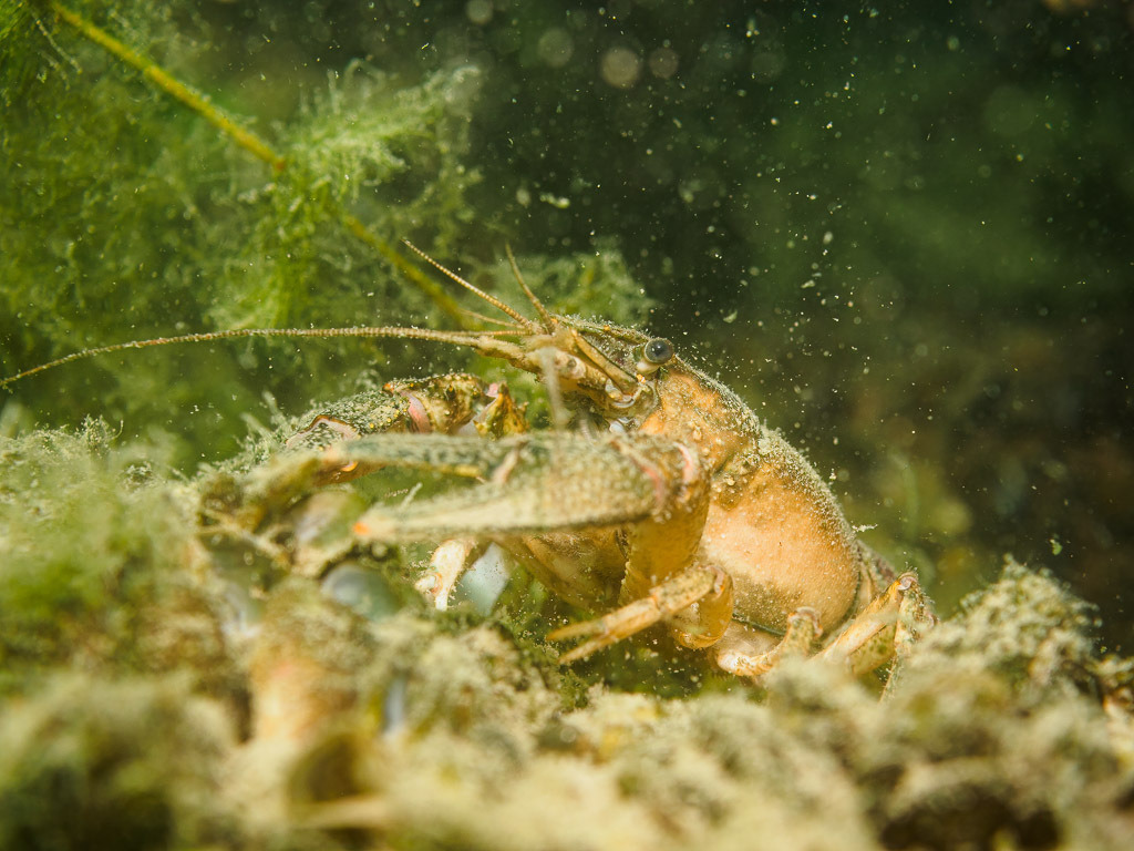 P6180563 | OLYMPUS DIGITAL CAMERA - Realisiert mit Pictrs.com