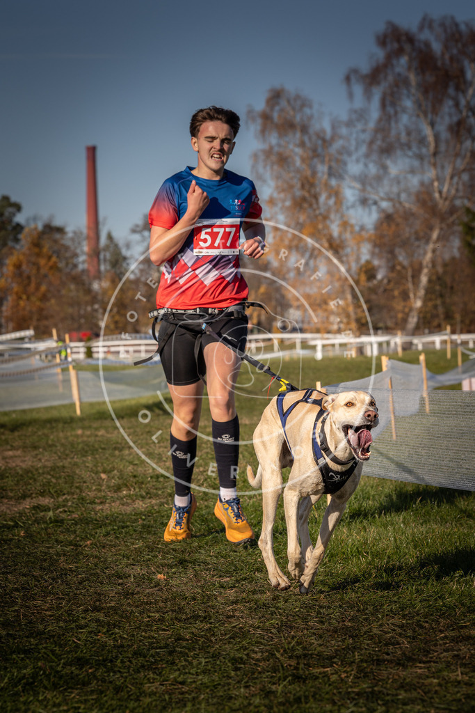 CaniXpix_0L8A8125 | Hundefotografie, Tierfotograf, Pfotenfotografie, Fotoshooting Hund, Hunde Portrait, Hundesport, Hundeportraits, Heideshooting, Hunde, Sportfotograf, Hundefotograf, Turnierhundsport, THS,  - Realisiert mit Pictrs.com