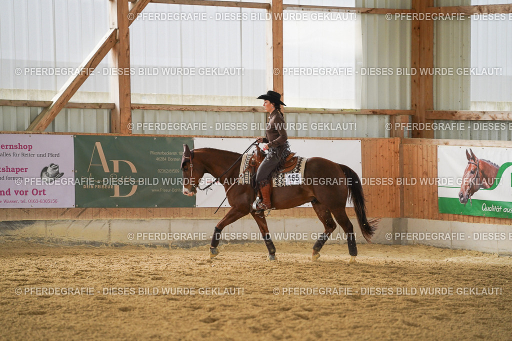 DSC04771 | Pferdegrafie