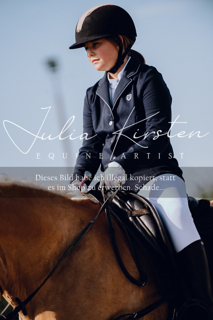 DSC_7003 | Pferde- und Turnierfotografie in Westsachsen. Pferdeportraits, Auftragszeichnungen und intuitive Kunst.