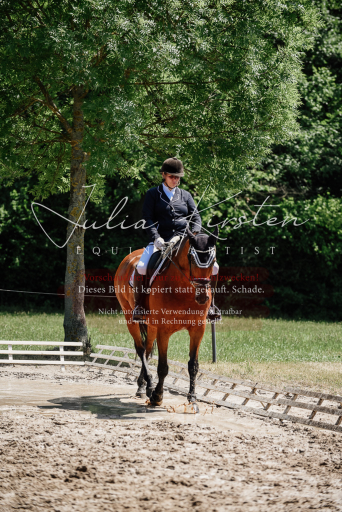 DSC_1979 | Pferde- und Turnierfotografie in Westsachsen. Pferdeportraits, Auftragszeichnungen und intuitive Kunst.