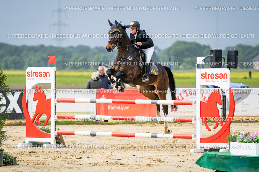 DSC04058 | Pferdegrafie