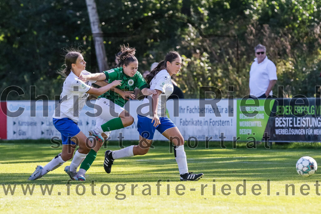 2023-09-16_103_FC_Forstern_gegen_VfL_Sindelfingen_Ladies_I | Forstern, Deutschland, 16.09.2023:
Fußball, B-Juniorinnen-Bundesliga Süd 2023 / 2024, 2. Spieltag, FC Forstern gegen VfL Sindelfingen Ladies I, Endergebnis: 4:1

Johanna Buck (VfL Sindelfingen Ladies I, #23), Emma Neumeier (FC Forstern, #8), Sena Killi (VfL Sindelfingen Ladies I, #18)

Foto: Christian Riedel / fotografie-riedel.net