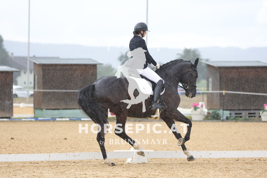 0P6A4977 | Willkommen bei Brunnmayr - Design & Fotografie – Ihrem Spezialisten für Reitturniere und Pferdeveranstaltungen in Oberösterreich, Salzburg und Bayern! Seit über 17 Jahren sind wir leidenschaftlich dabei.