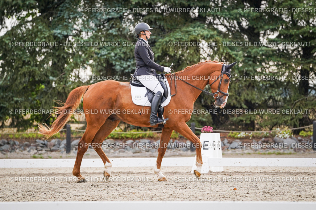 DSC00211 | Pferdegrafie