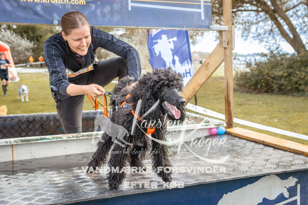 1358_ZZ93116-2 | kk-dogfotos