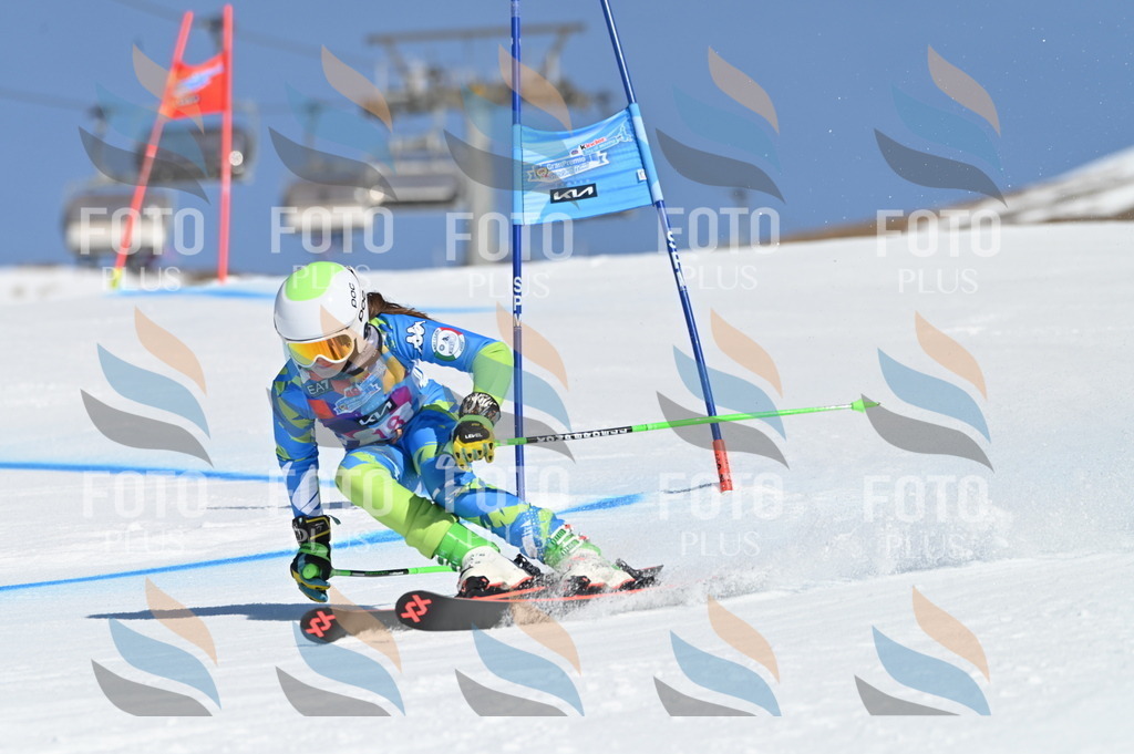 BGV_7919 | holidayphoto