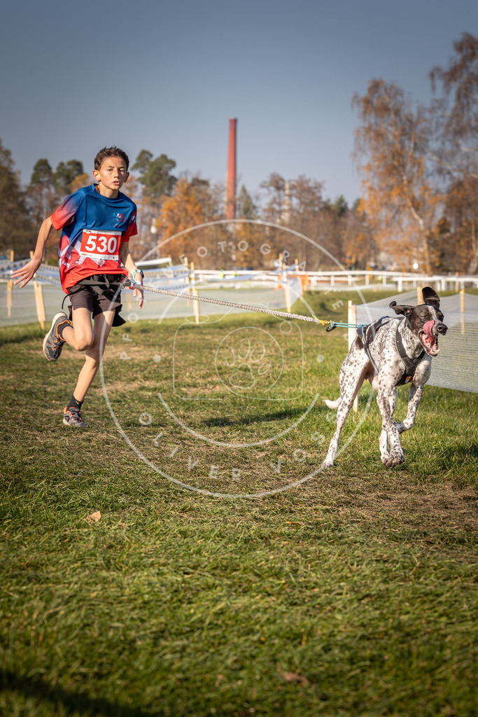 CaniXpix_0L8A8767 | Hundefotografie, Tierfotograf, Pfotenfotografie, Fotoshooting Hund, Hunde Portrait, Hundesport, Hundeportraits, Heideshooting, Hunde, Sportfotograf, Hundefotograf, Turnierhundsport, THS,  - Realisiert mit Pictrs.com
