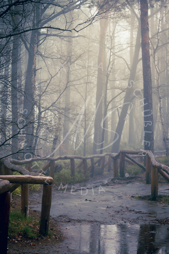 2023-04-14 Saechische Schweiz Lilienstein - 017-Verbessert-RR | Schwotte Media - Realisiert mit Pictrs.com