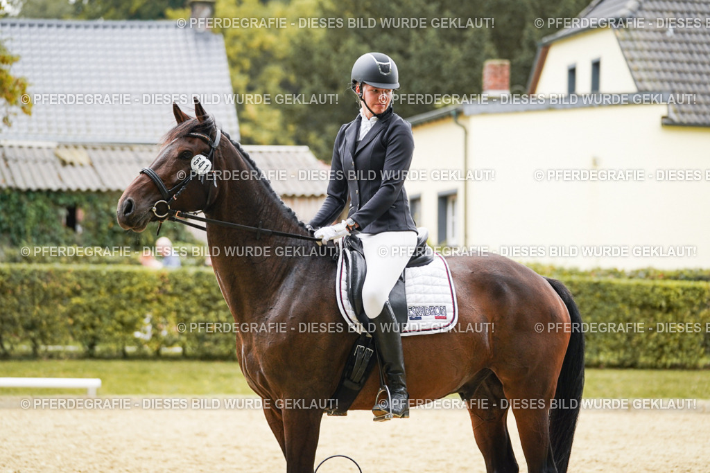 DSC09892 | Pferdegrafie