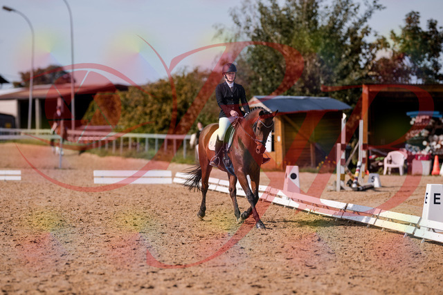 2026_10_03_Siefer-Hof_130740_Z81_58557996 | Professionelle Reitsport-, Turnier- und Eventfotografie von Robert Broda. Galerien mit ausgewählten und bearbeiteten Bildern direkt online ansehen und bestellen.