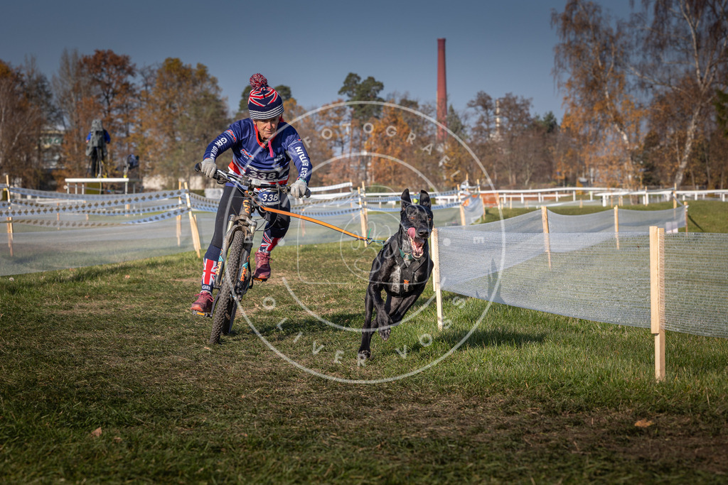 CaniXpix_0L8A7677 | Hundefotografie, Tierfotograf, Pfotenfotografie, Fotoshooting Hund, Hunde Portrait, Hundesport, Hundeportraits, Heideshooting, Hunde, Sportfotograf, Hundefotograf, Turnierhundsport, THS,  - Realisiert mit Pictrs.com