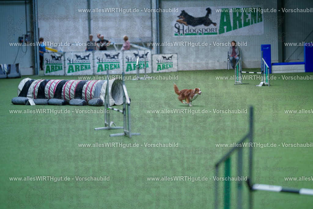 @allesWIRTHgut_Tierfotografie - www.allesWIRTHgut.de - 2604261219-7R500692 | Professionelle Tierfotografie in Mönchengladbach von Daniel Wirth (allesWIRTHgut). Liebevolle & natürliche Bilder von Hunden & Katzen für unvergessliche Erinnerungen.