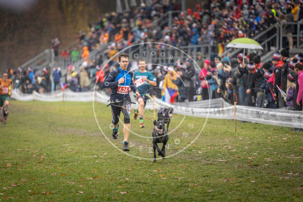 CaniXpix_DV3A9684 | Hundefotografie, Tierfotograf, Pfotenfotografie, Fotoshooting Hund, Hunde Portrait, Hundesport, Hundeportraits, Heideshooting, Hunde, Sportfotograf, Hundefotograf, Turnierhundsport, THS,  - Realisiert mit Pictrs.com