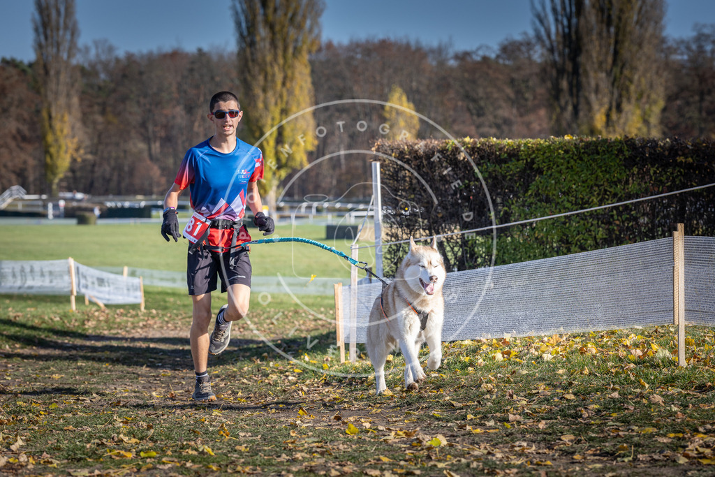CaniXpix_DV3A9108 | Hundefotografie, Tierfotograf, Pfotenfotografie, Fotoshooting Hund, Hunde Portrait, Hundesport, Hundeportraits, Heideshooting, Hunde, Sportfotograf, Hundefotograf, Turnierhundsport, THS,  - Realisiert mit Pictrs.com