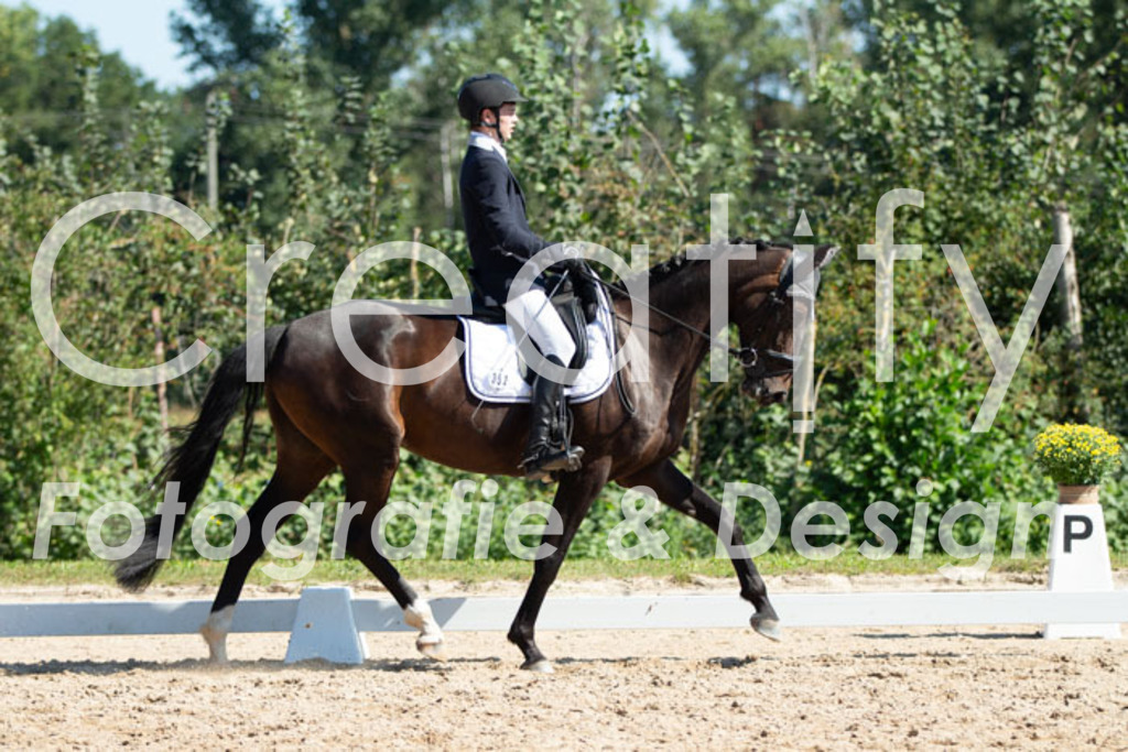 IMG_4419 | Creatify Fotografie