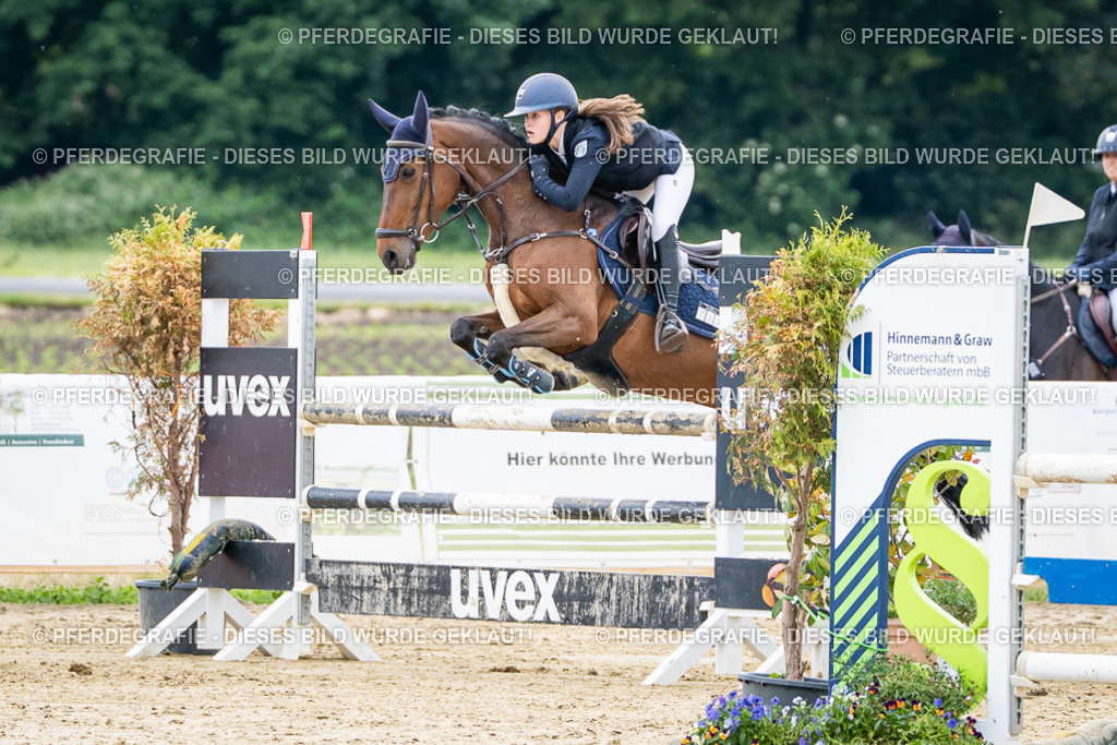 DSC05478 | Pferdegrafie